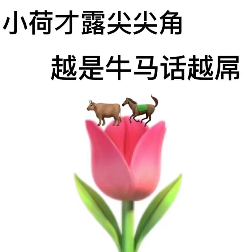 快乐的小牛马