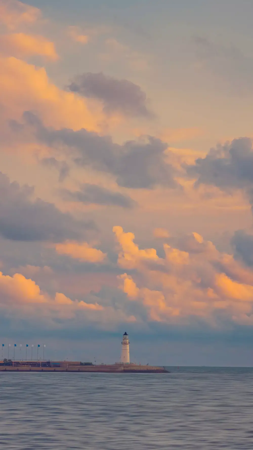 “凌晨四点钟看海棠花未眠。”
——川端康成 《花未眠》