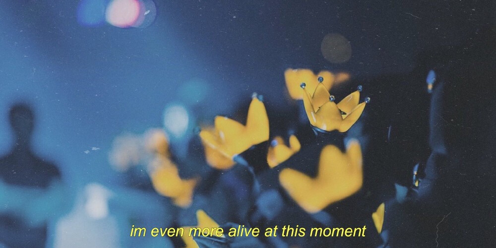 最美不过皇冠海