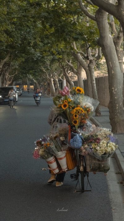 最近又开始在梦见死亡
可能是状态不好…
好想死去…