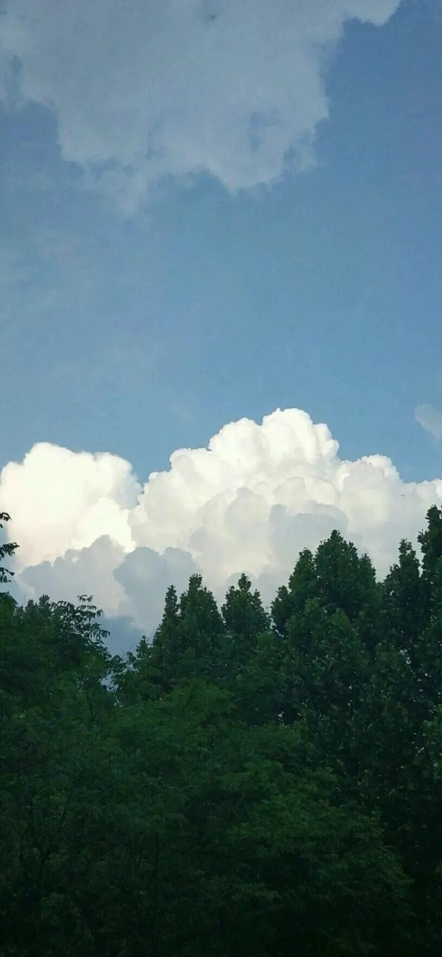 壁纸背景图 自然 风景