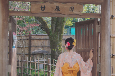 神社与樱花与你