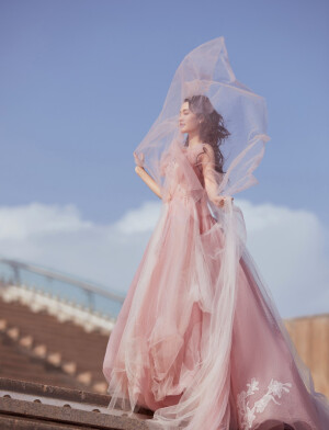 星光闪耀  光芒再现