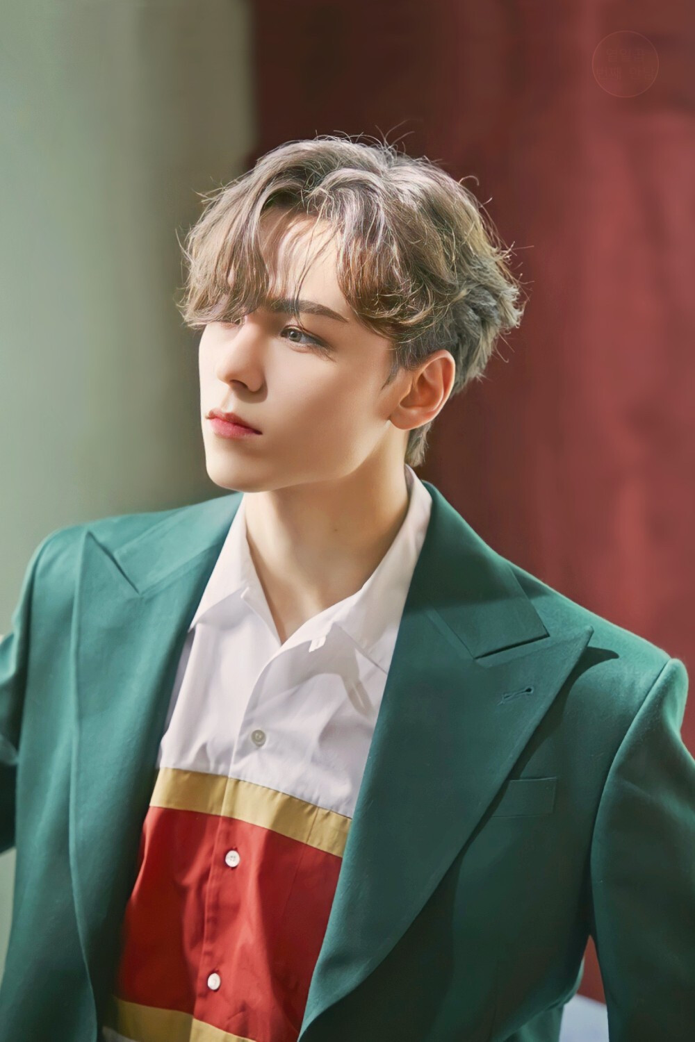 崔瀚率 VERNON