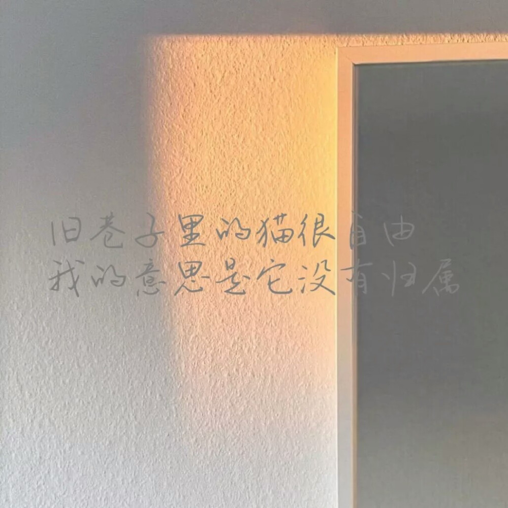 文字背景