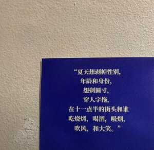 壁纸