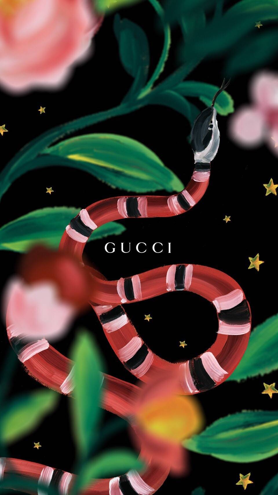 Gucci壁纸 ​​​