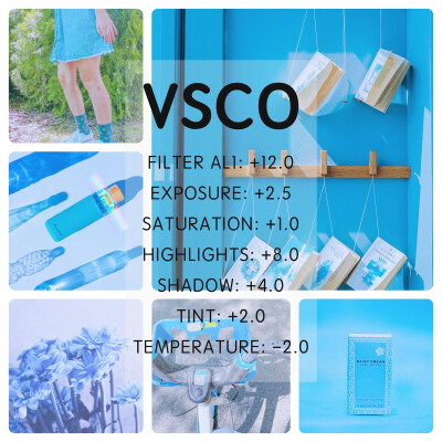 vsco 滤镜调色教程