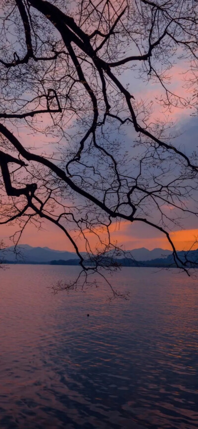 风景壁纸