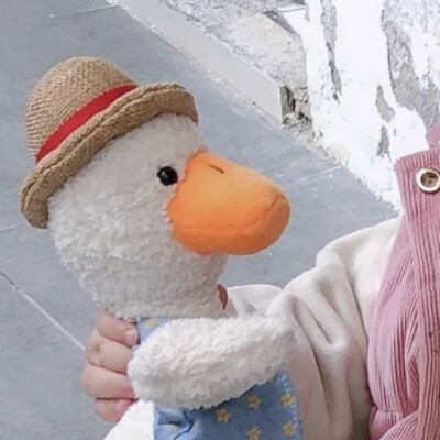 对象不是人 情头 玩具