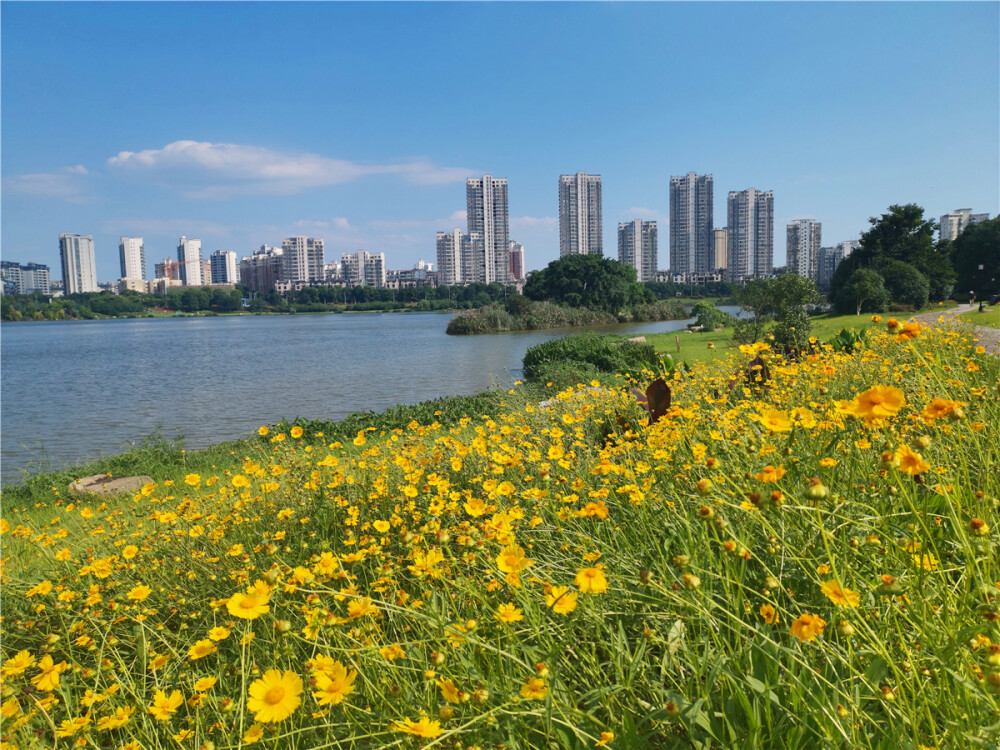 美丽吉安：蓝天白云下的庐陵文化生态园
5月15日，江西吉安庐陵文化生态园在蓝天白云的映衬下就像一幅山水画，美丽极了。庐陵文化生态园位于吉安市吉州区城北、赣江之滨，是利用螺子山山体和滞洪区为建设用地打造的一个生态公园，总面积约4000余亩。公园以绿色的植被为基调，以红色的井冈山精神以及古色古香的文化建筑为骨架，形成一道亮丽的风景线，成为当地市民休闲游玩的好去处。（摄/肖勇）
