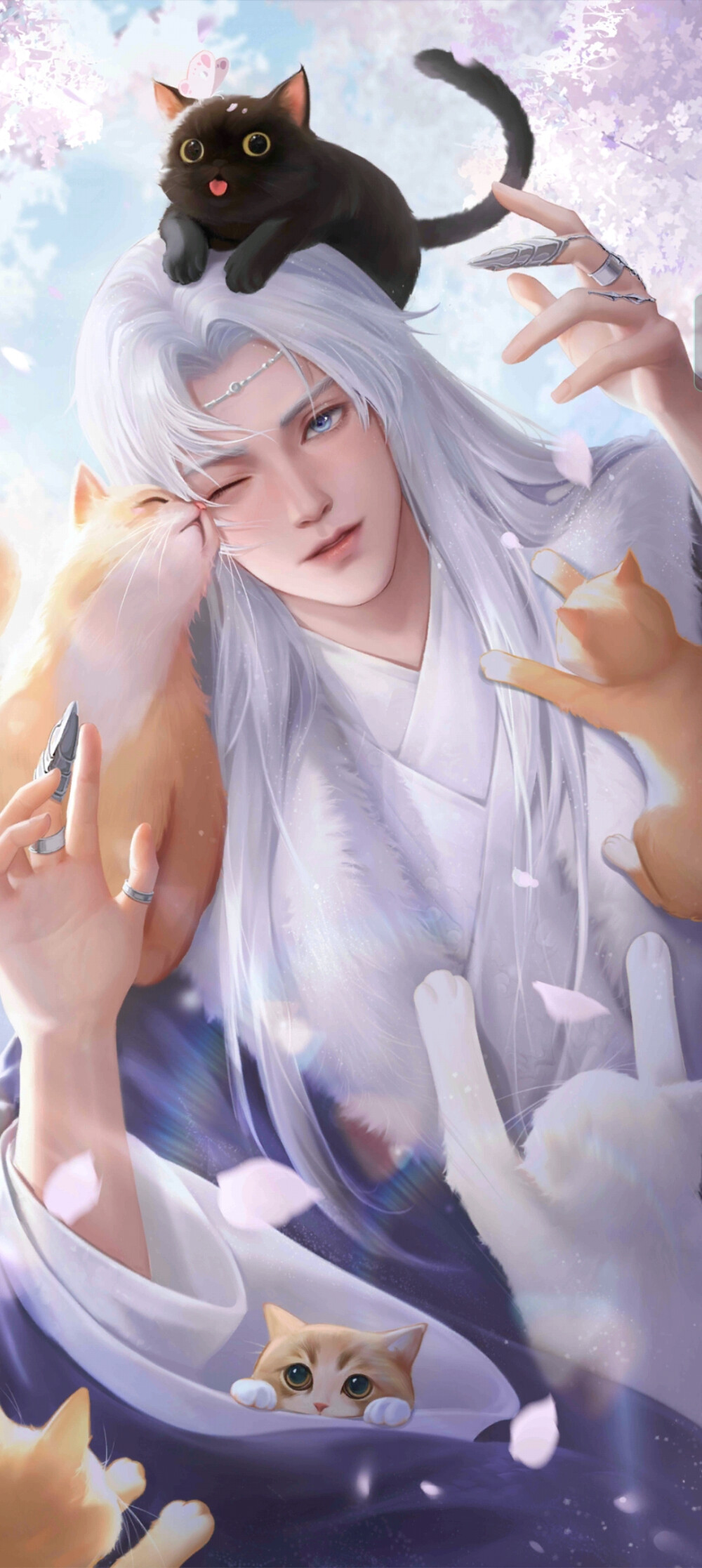 灵猫传 沈既明 老沈