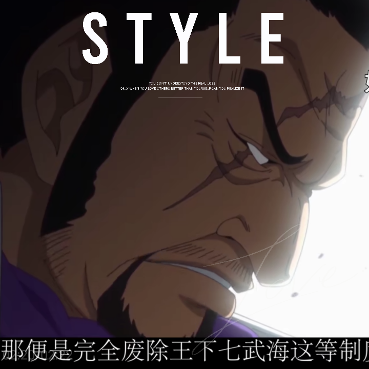 藤虎 真正的正义