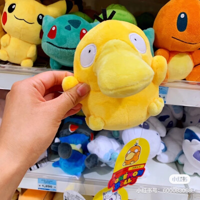 梅田大丸百货·Pokemon宝可梦专卖店