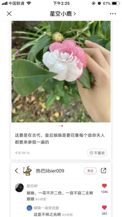 发赏花的搞笑朋友圈