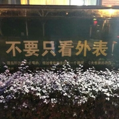 杂系背景图
-我用什么才能留住你