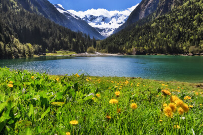 阿尔卑斯山