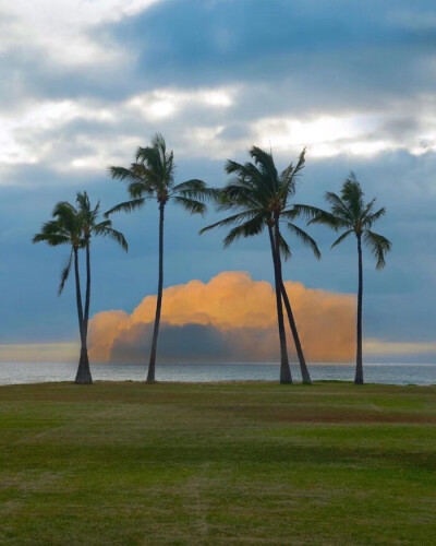 风景