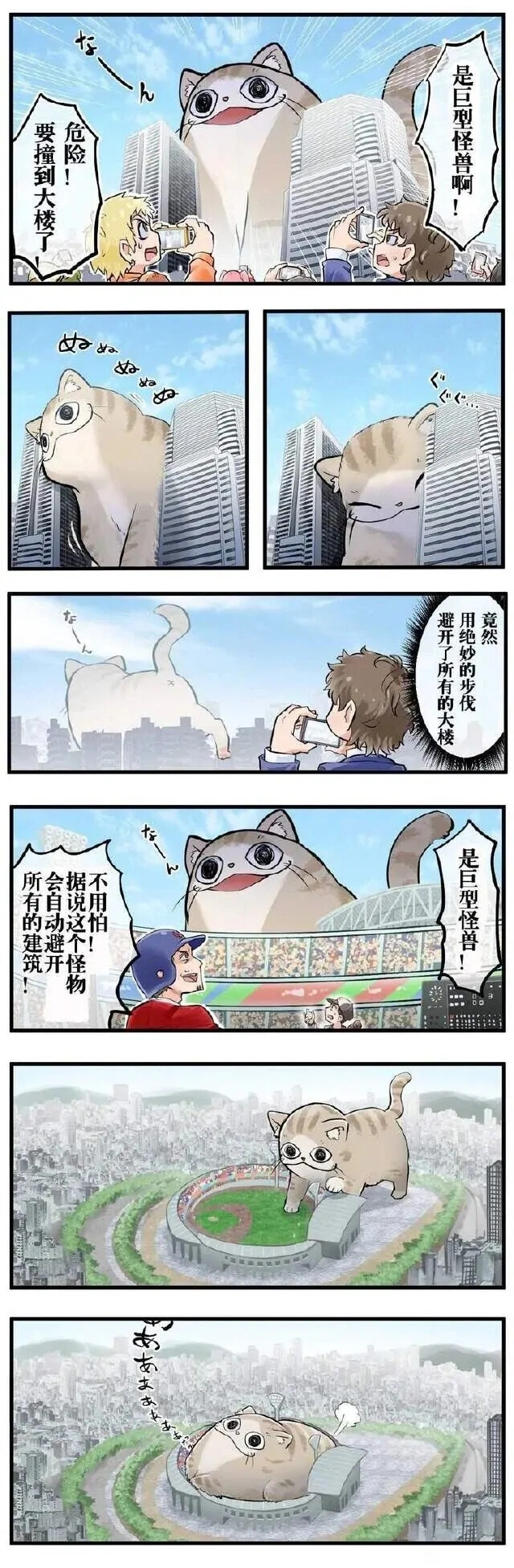 猫猫！！