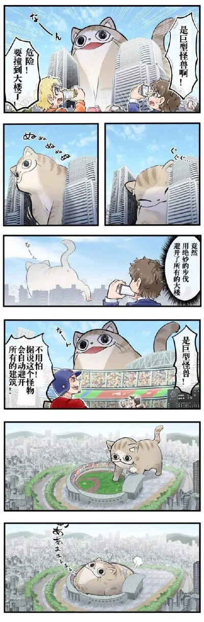 猫猫！！