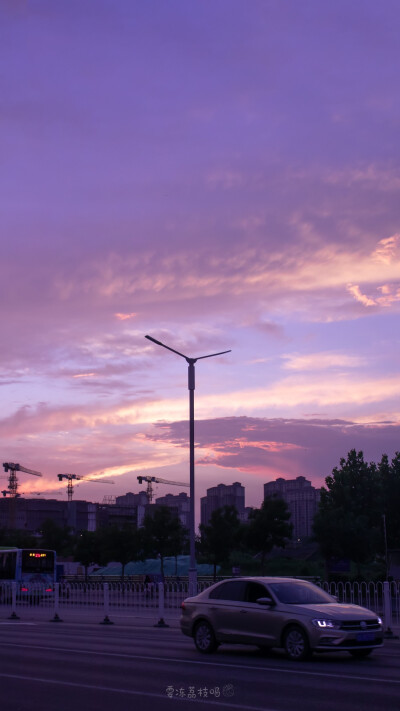 紫色天空
?要冻荔枝吗