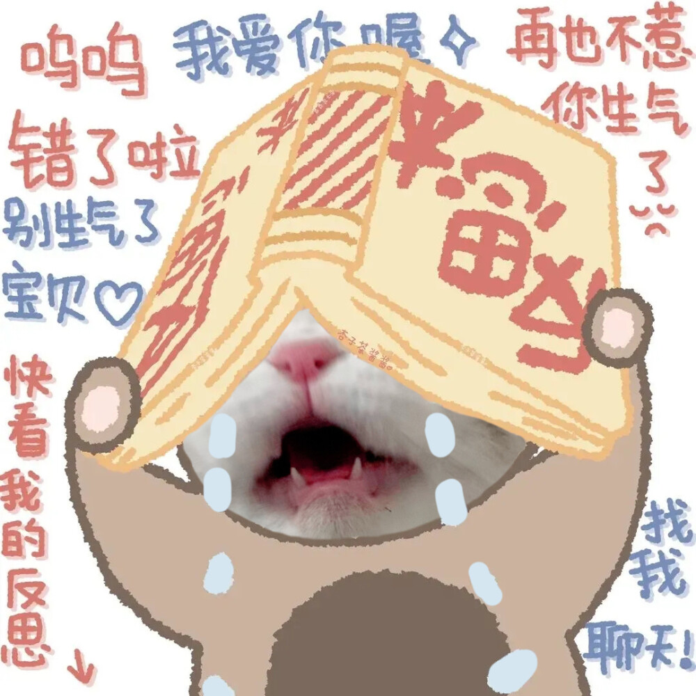 猫猫情头像