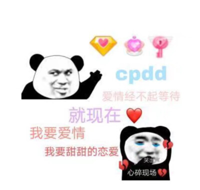 cpdd
