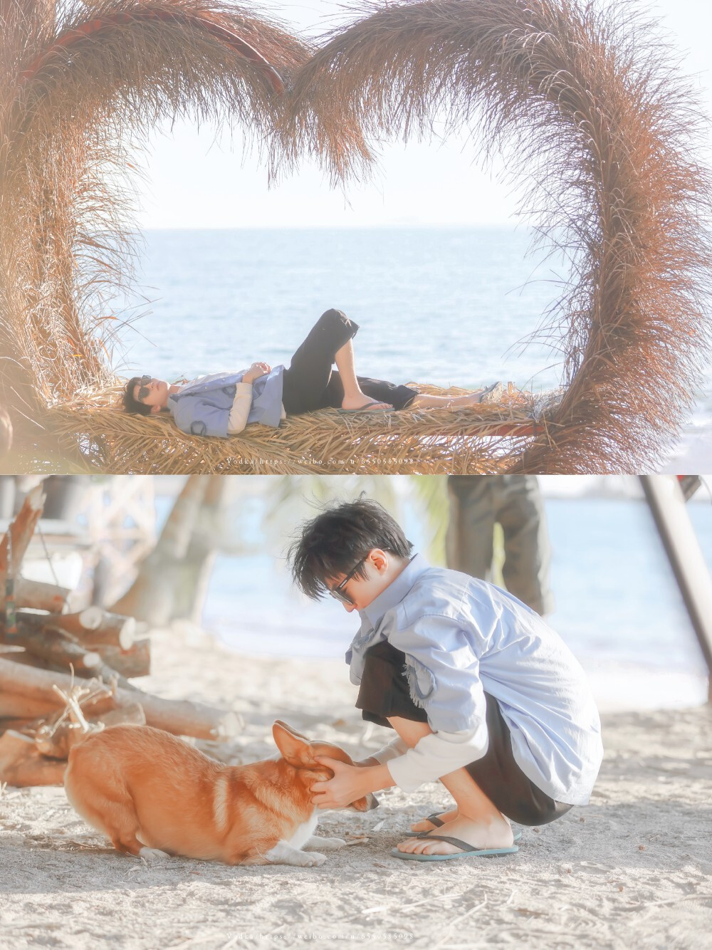 王俊凯