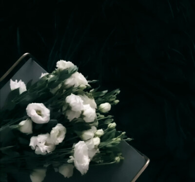 “好想把那些拿捏好的分寸和距离都丢掉”
边伯贤 /©19920506com