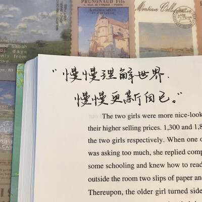 语录分享|治愈短句
背景书：《英译中国现代散文》
©️小熊手写-
