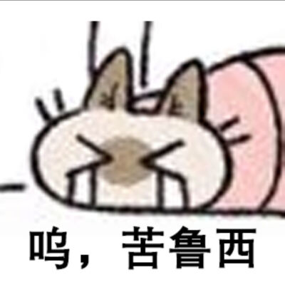 小猫猫