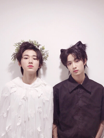 TNT时代少年团图片
