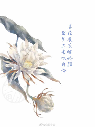 花语