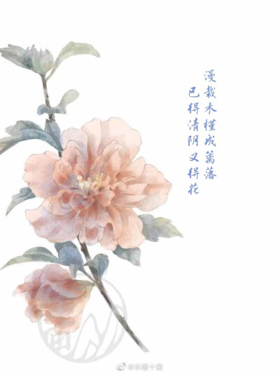 花语