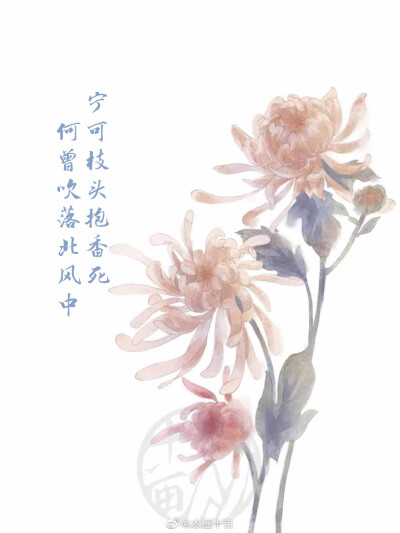 花语