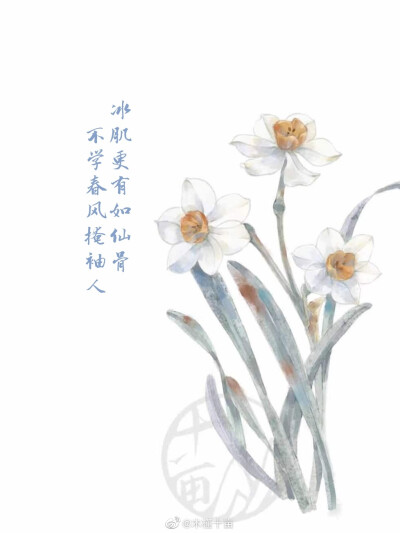 花语