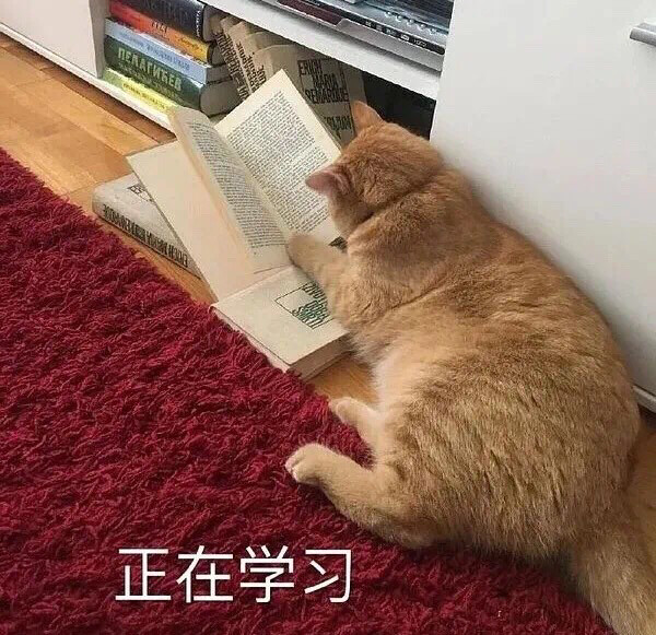 沉迷学习