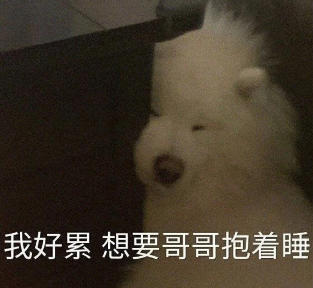 可爱表情包