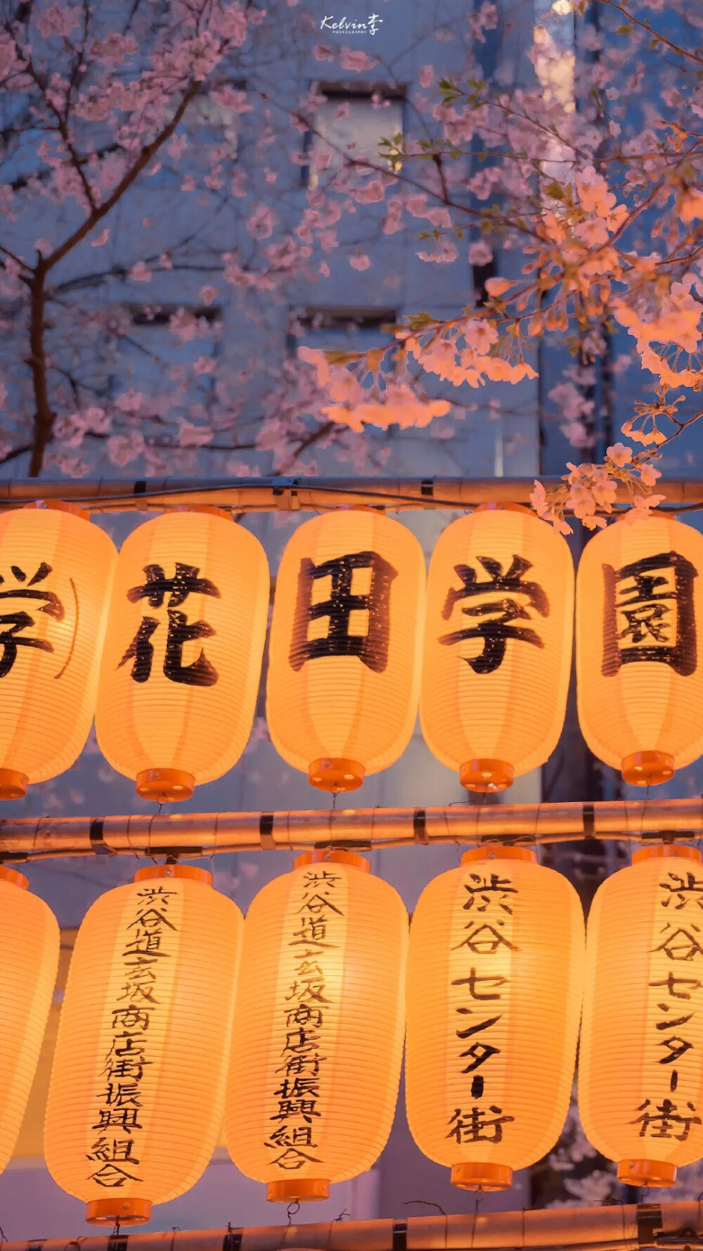 blingbling壁纸／治愈壁纸