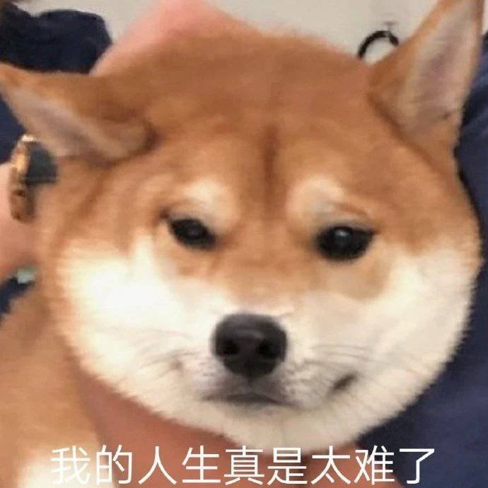 小猫咪萌宠表情包