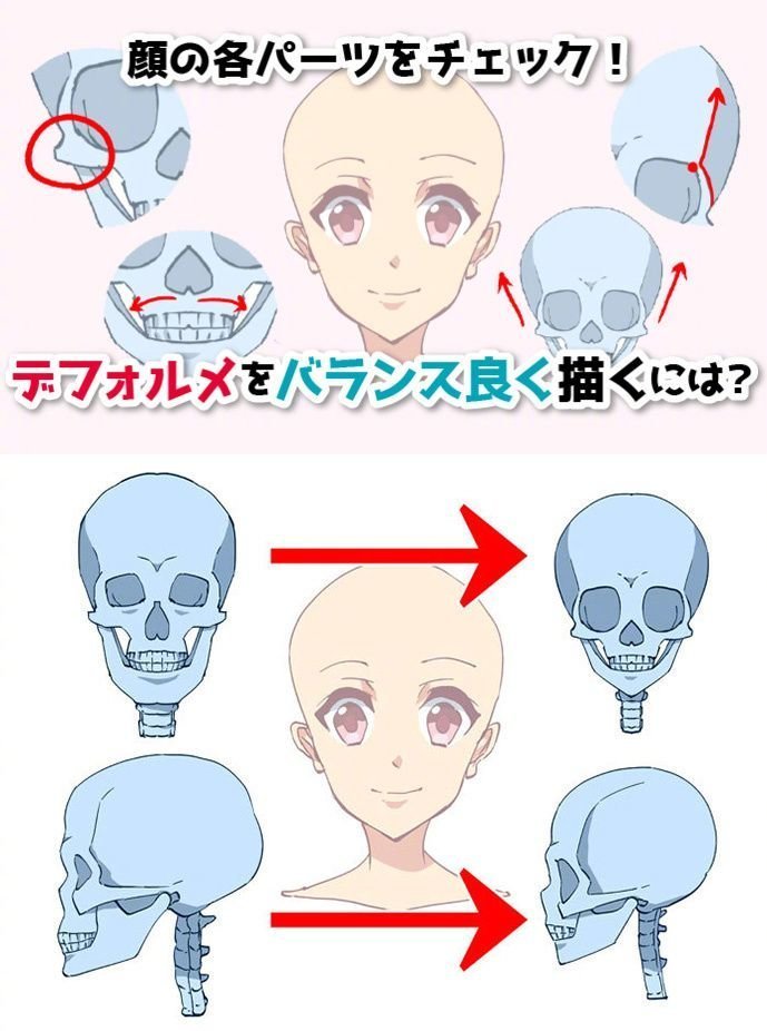 人物头部脸型教程几何
图源水印