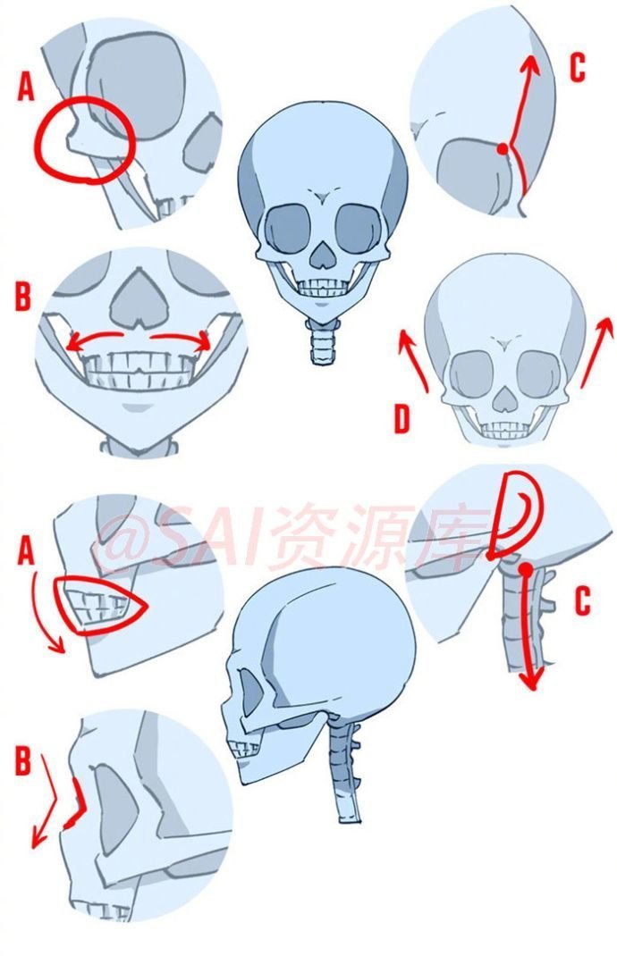 人物头部脸型教程几何
图源水印