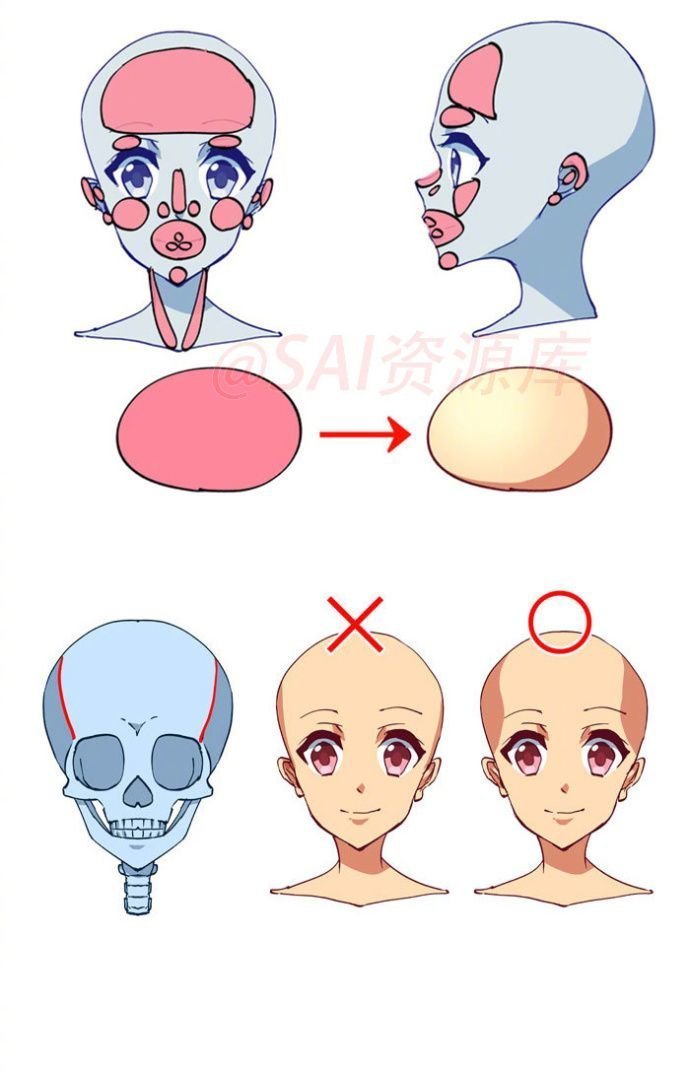 人物头部脸型教程几何
图源水印