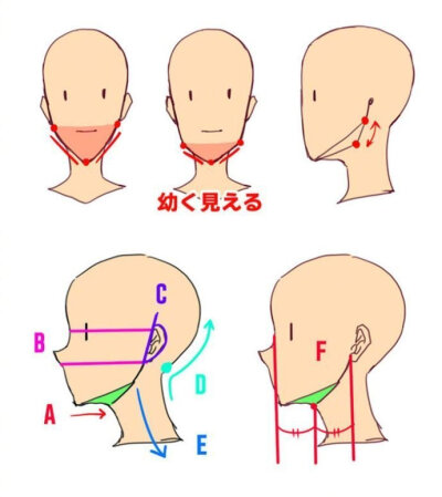 人物头部脸型教程几何
图源水印