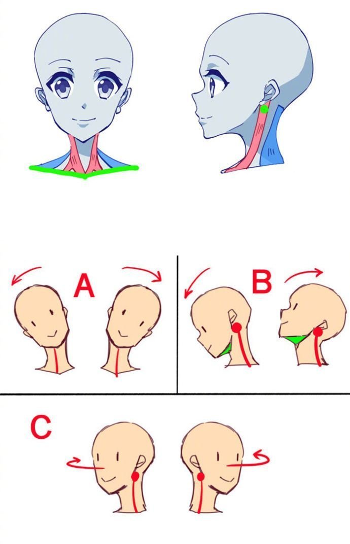 人物头部脸型教程几何
图源水印