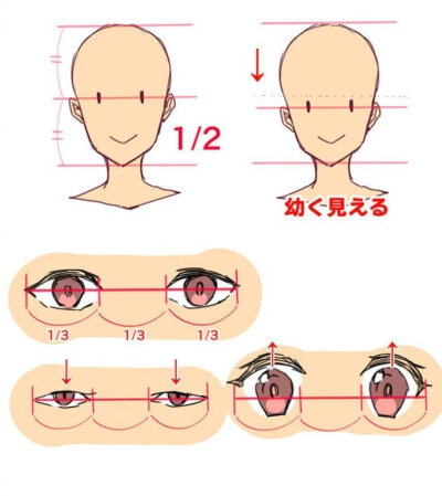人物头部脸型教程几何
图源水印