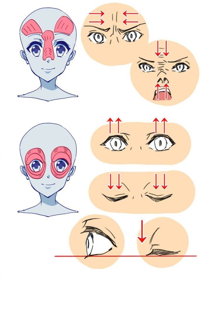 人物头部脸型教程几何
图源水印