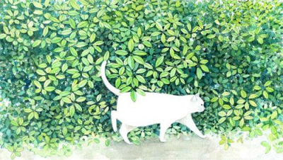 猫叔