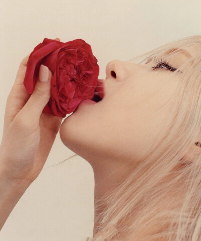 玫瑰会枯竭
rosie不会