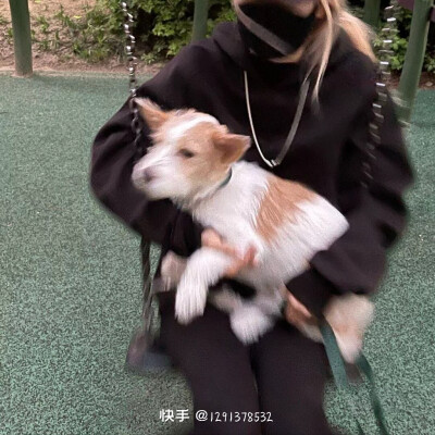 玫瑰会枯竭
rosie不会